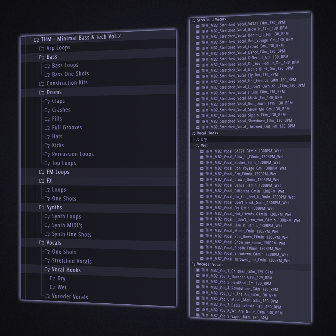 Minimal Bass & Tech Volume.2 - Samples & Serum2 Presets
